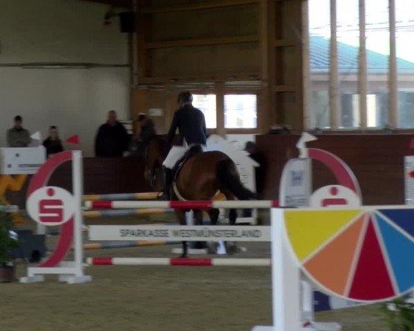 Reitturnier Coesfeld / Lette 2025