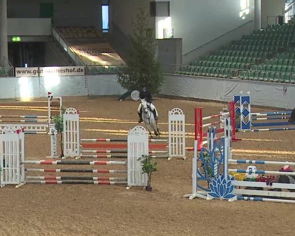 Reitturnier Kreuth 2025