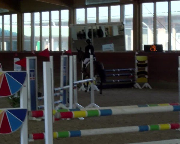 Reitturnier Coesfeld / Lette 2025