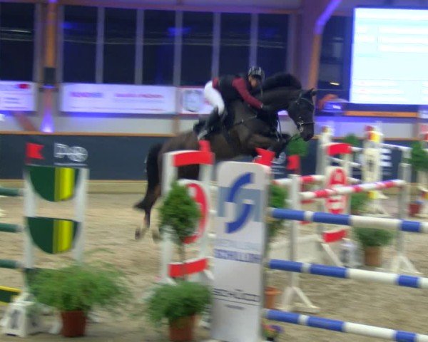 Reitturnier Asperden 2025