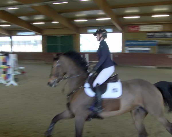 Reitturnier Coesfeld / Lette 2025