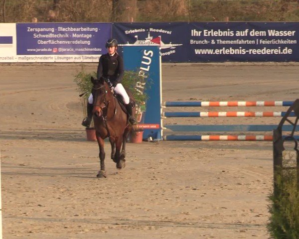 Reitturnier Scharnebeck 2025