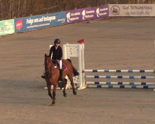 Reitturnier Scharnebeck 2025