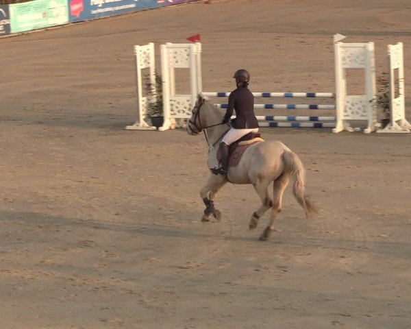 Reitturnier Scharnebeck 2025