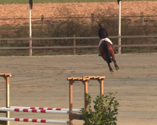 Reitturnier Scharnebeck 2025