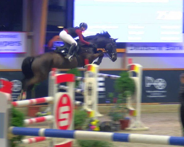Reitturnier Asperden 2025