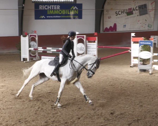 Reitturnier Viernheim 2025