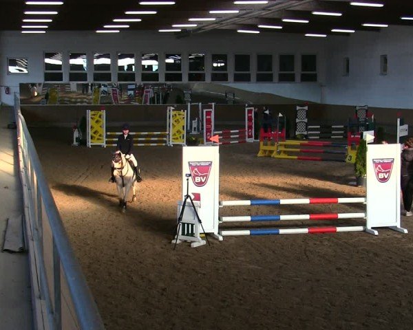 Reitturnier Freudenberg 2025