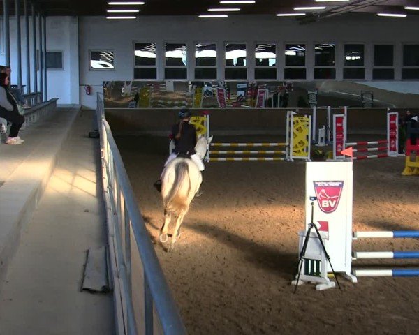 Reitturnier Freudenberg 2025