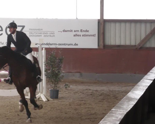 Reitturnier Viernheim 2025