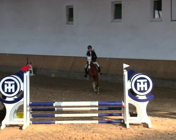 Reitturnier Freudenberg 2025