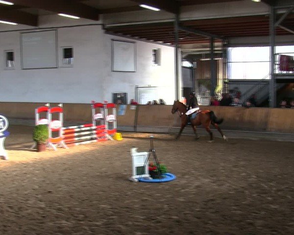 Reitturnier Freudenberg 2025