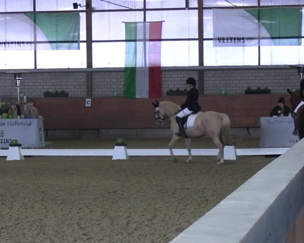 Reitturnier Hellefeld 2025