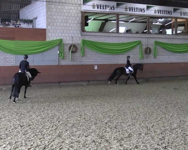 Reitturnier Hellefeld 2025