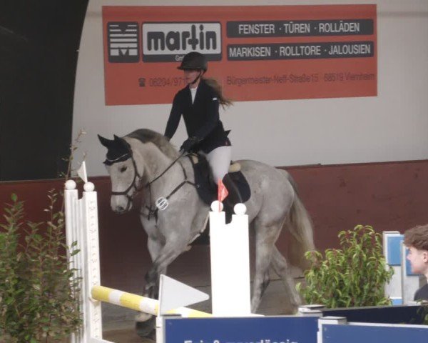 Reitturnier Viernheim 2025