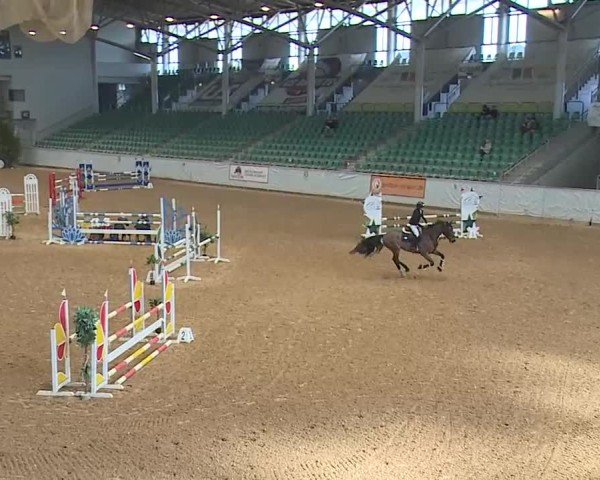 Reitturnier Kreuth 2025