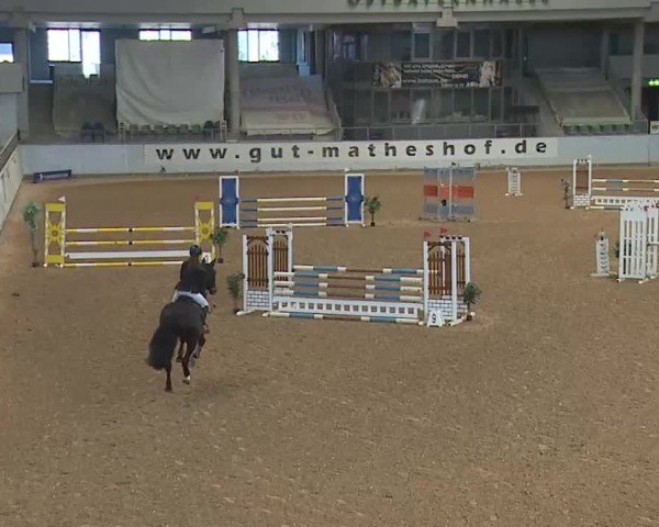 Reitturnier Kreuth 2025