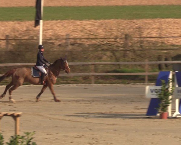 Reitturnier Scharnebeck 2025