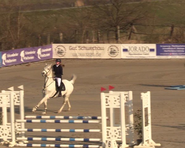 Reitturnier Scharnebeck 2025