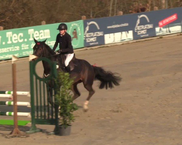 Reitturnier Scharnebeck 2025