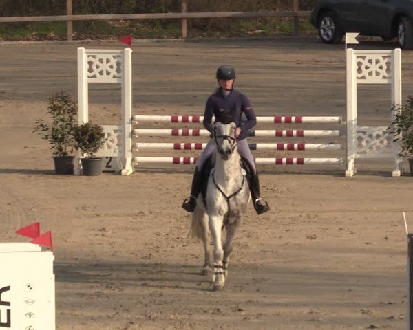 Reitturnier Scharnebeck 2025