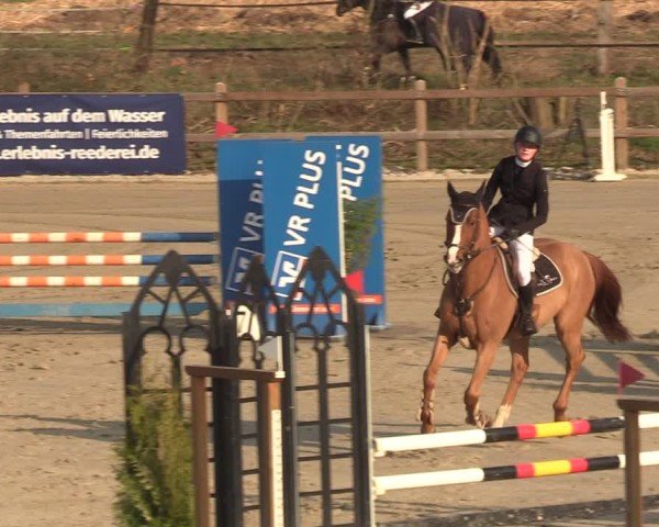 Reitturnier Scharnebeck 2025