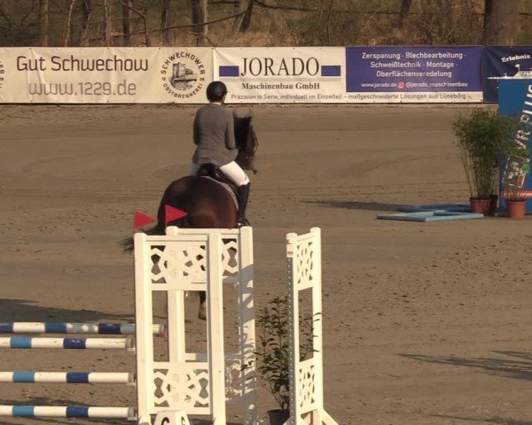Reitturnier Scharnebeck 2025