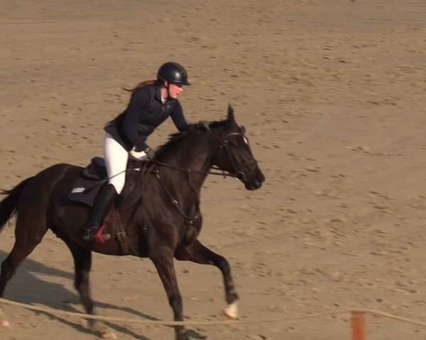 Reitturnier Scharnebeck 2025