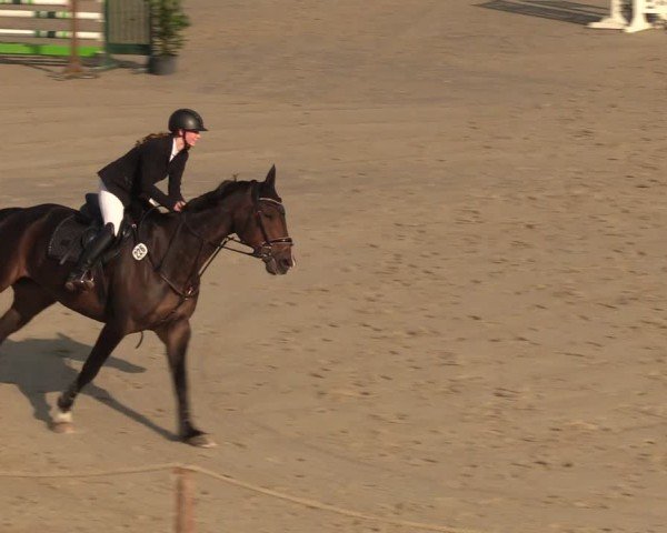 Reitturnier Scharnebeck 2025