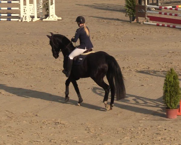 Reitturnier Scharnebeck 2025