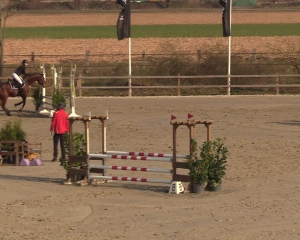 Reitturnier Scharnebeck 2025
