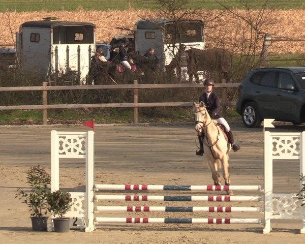 Reitturnier Scharnebeck 2025