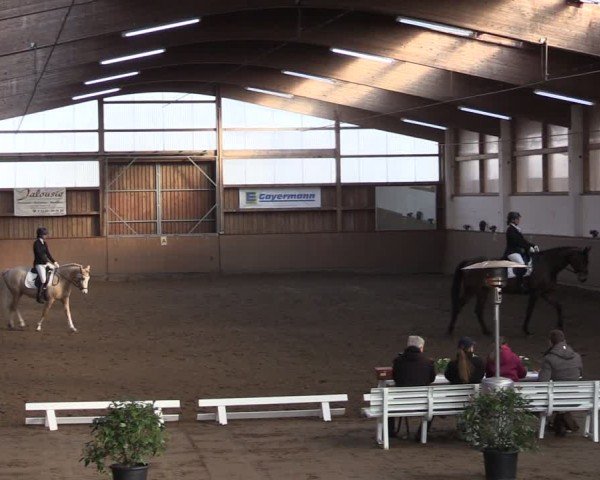 Reitturnier Jühnsdorf 2025