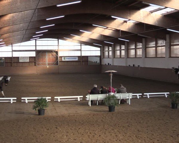 Reitturnier Jühnsdorf 2025