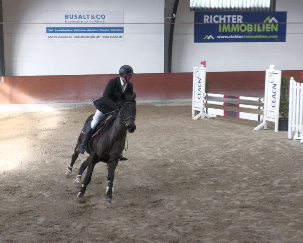 Reitturnier Viernheim 2025