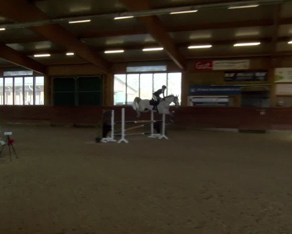 Reitturnier Coesfeld / Lette 2025