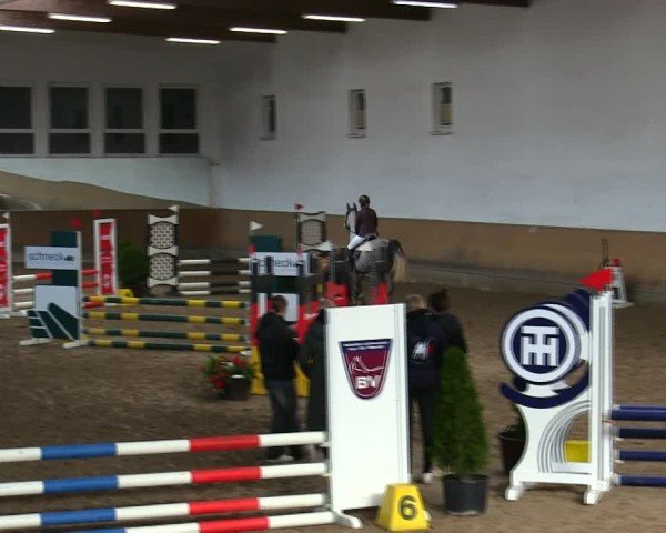 Reitturnier Freudenberg 2025
