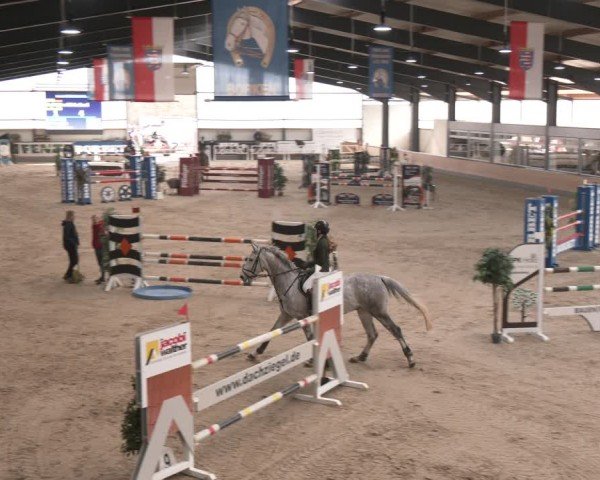 Reitturnier Borken (Hessen) 2025