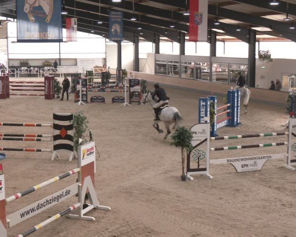 Reitturnier Borken (Hessen) 2025