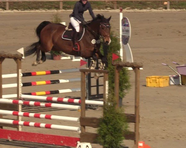 Reitturnier Scharnebeck 2025