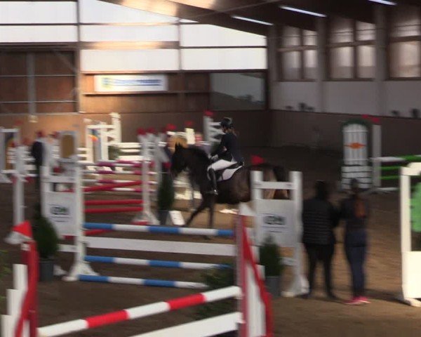 Reitturnier Jühnsdorf 2025