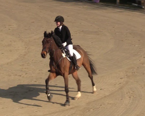Reitturnier Scharnebeck 2025