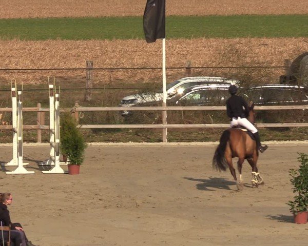 Reitturnier Scharnebeck 2025