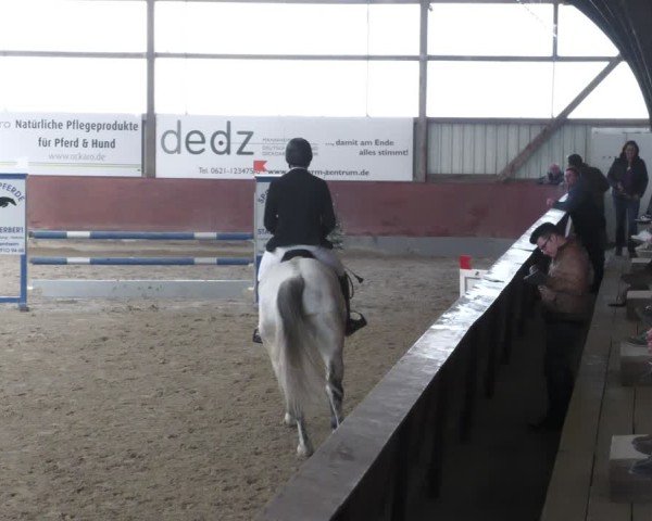 Reitturnier Viernheim 2025
