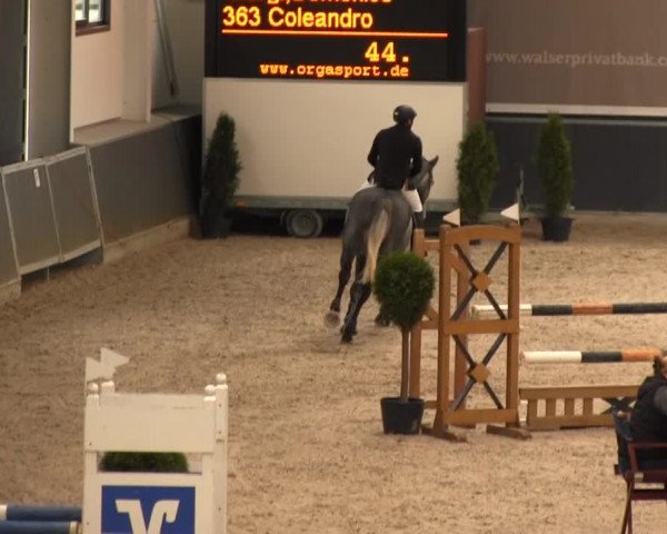 Reitturnier Mönchengladbach-Abtshof 2013