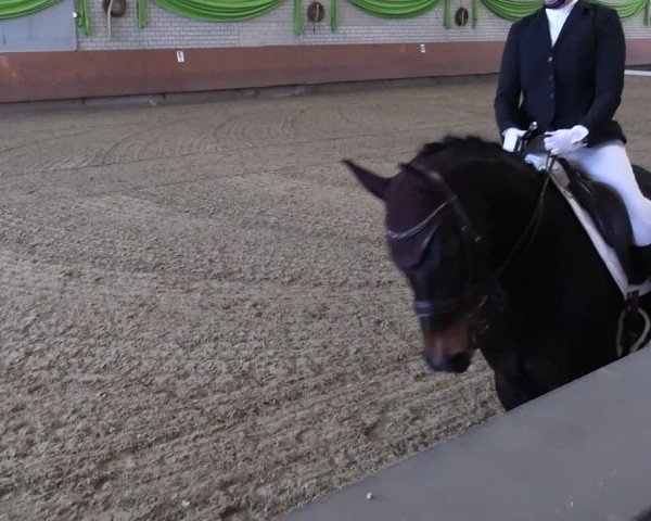 Reitturnier Hellefeld 2025
