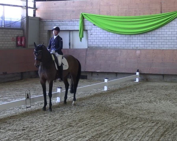 Reitturnier Hellefeld 2025