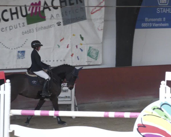 Reitturnier Viernheim 2025