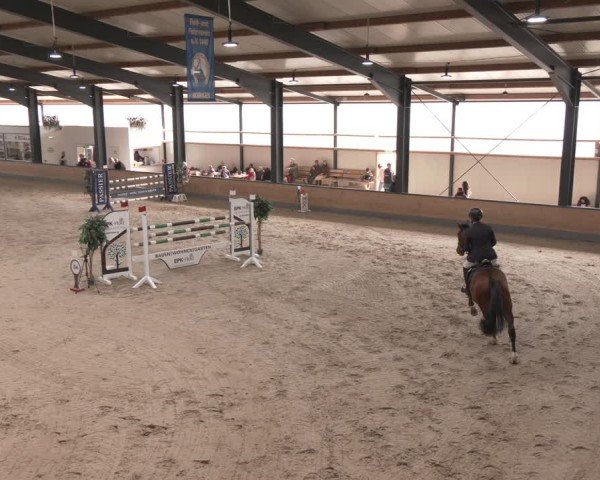 Reitturnier Borken (Hessen) 2025
