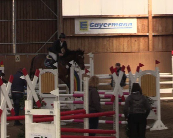 Reitturnier Jühnsdorf 2025